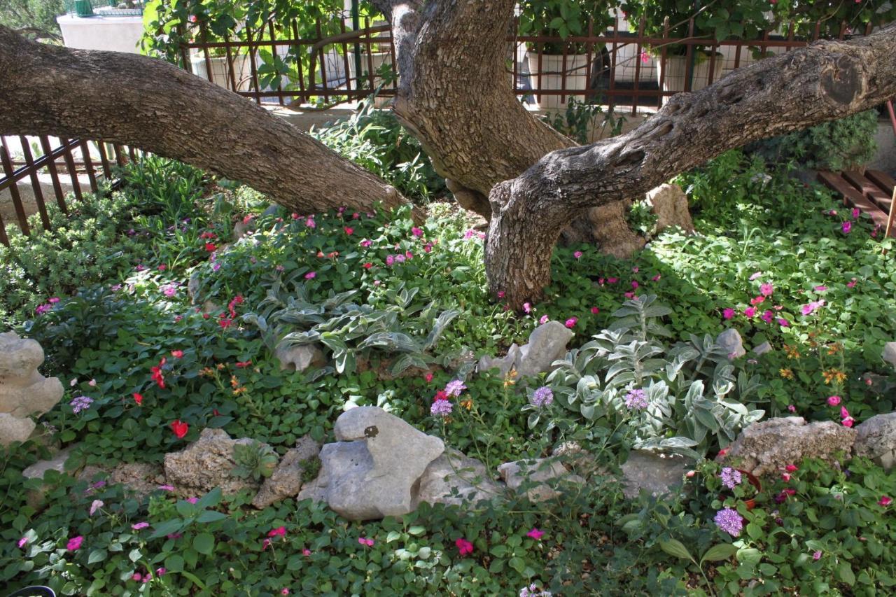 Apartments With A Parking Space Makarska - 6792 Екстериор снимка