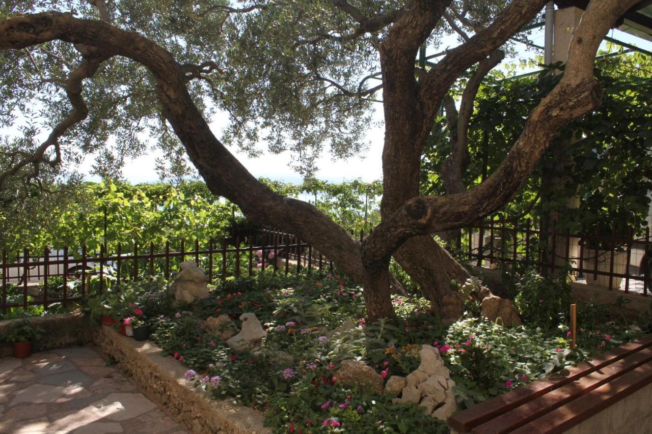 Apartments With A Parking Space Makarska - 6792 Екстериор снимка